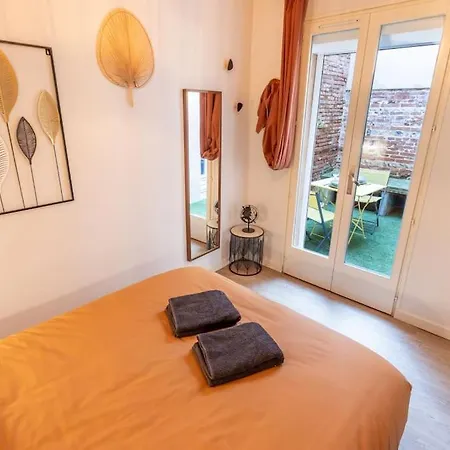 Apartament Centre Au Calme-terrasse-parking- Tuluza